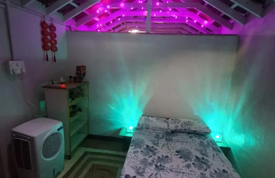 The Lazy Palm Shack-1