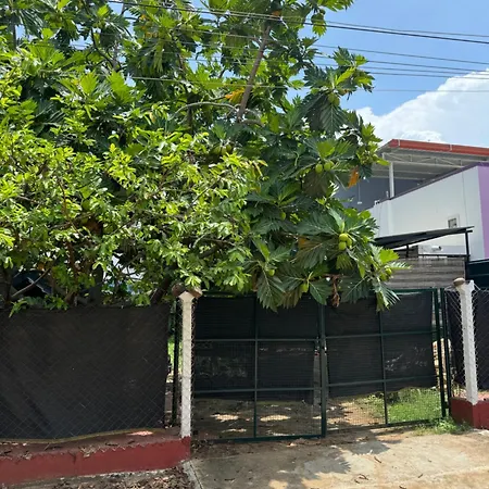 The Lazy Palm Shack-3